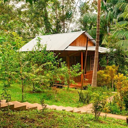 Cabanas Dechi Пуэрто-Наринио Экстерьер фото