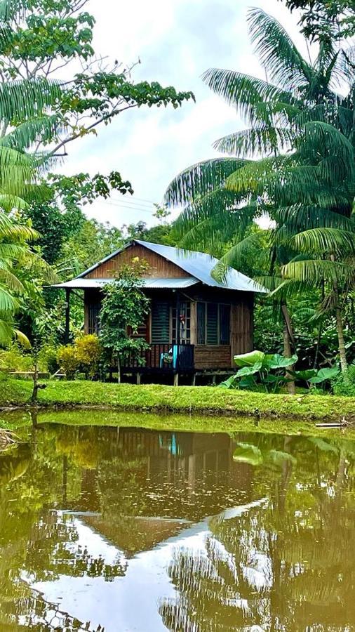 Cabanas Dechi Пуэрто-Наринио Экстерьер фото